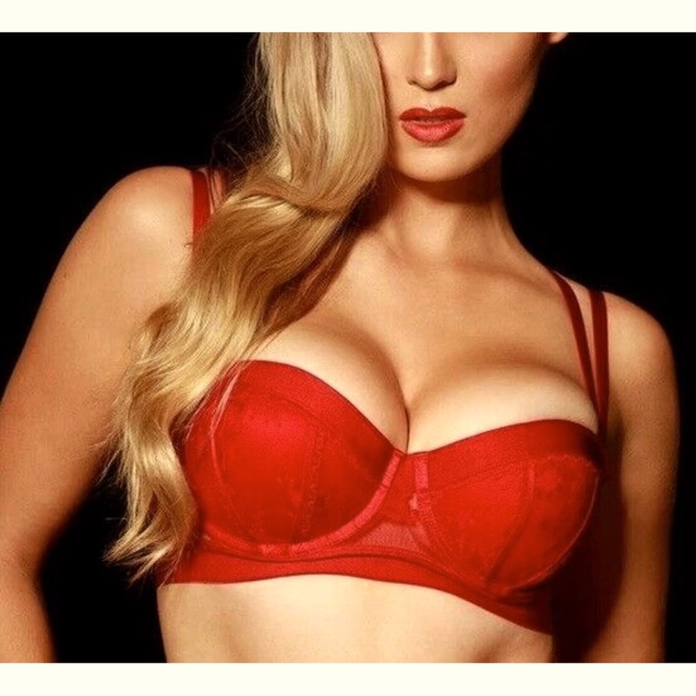 Honey Birdette LUCILLE Red Lace Push Up Bra 34DD